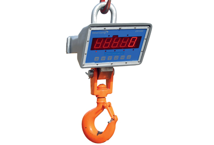 Intercomp CS1500 LED Crane Scale