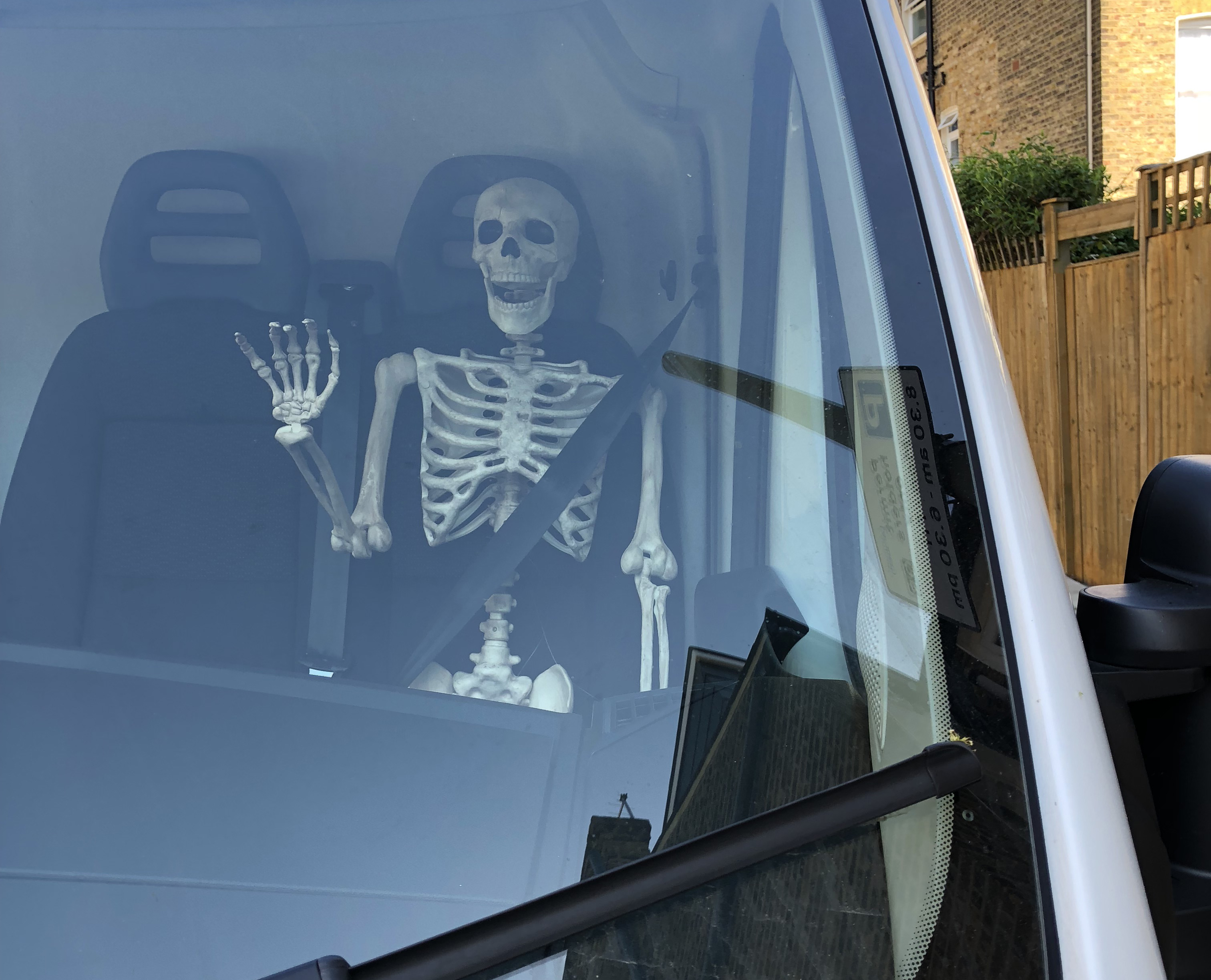Some passengers are just dying to drive IMG_2647 2.jpg