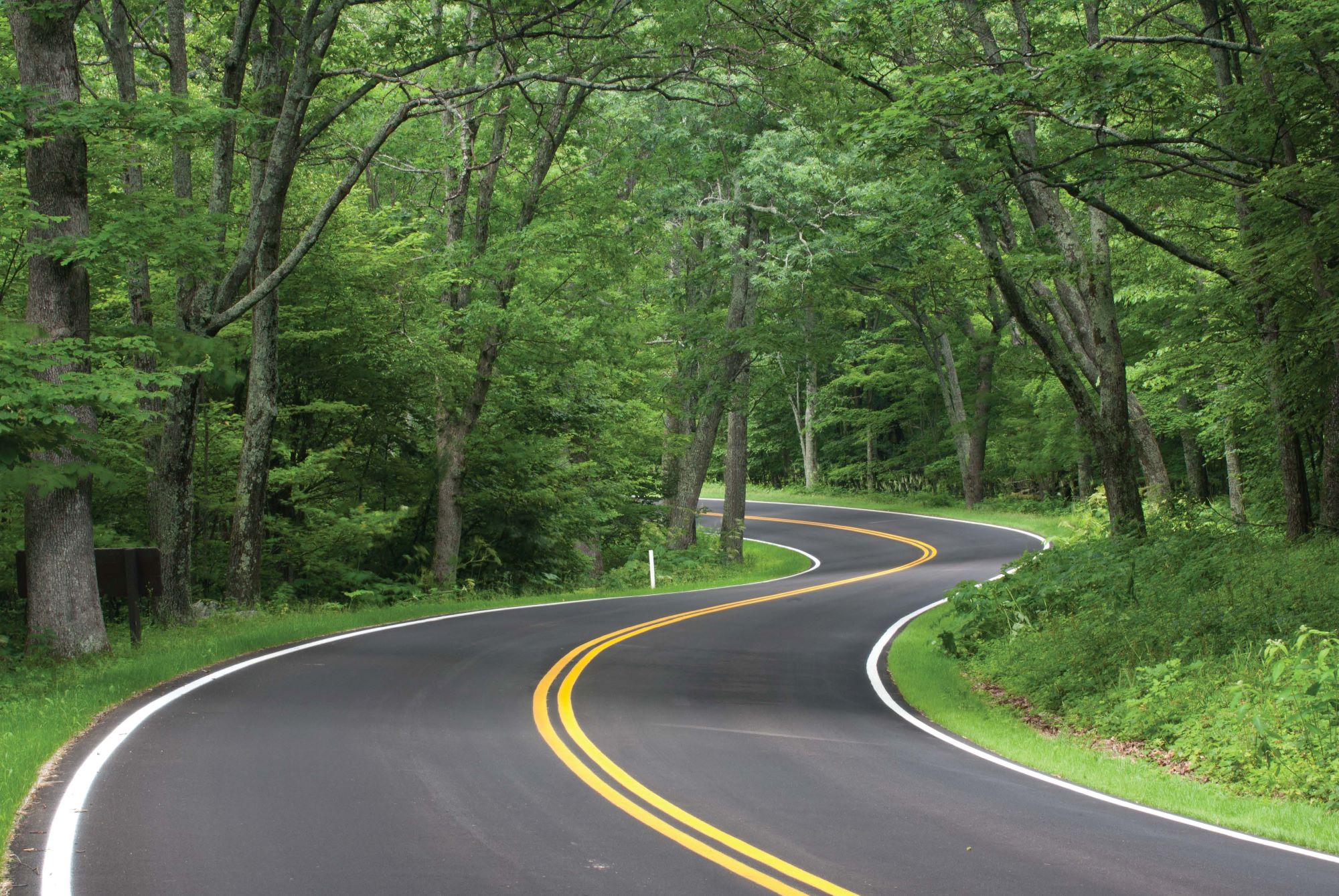 Sripath provides easy access to sustainability reports