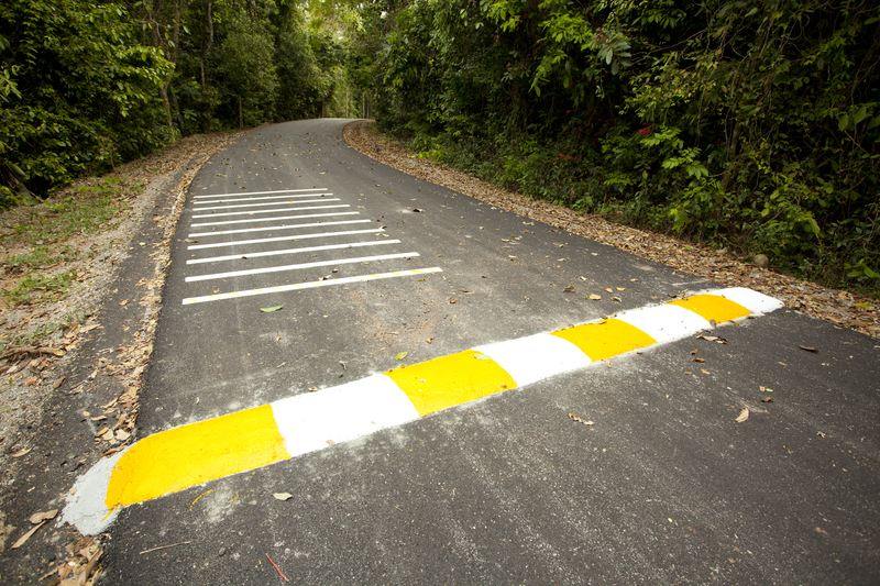 Road infrastructure and furniture is saving lives, according to the report from John Hopkins University (© Akeeris /Dreamstime)