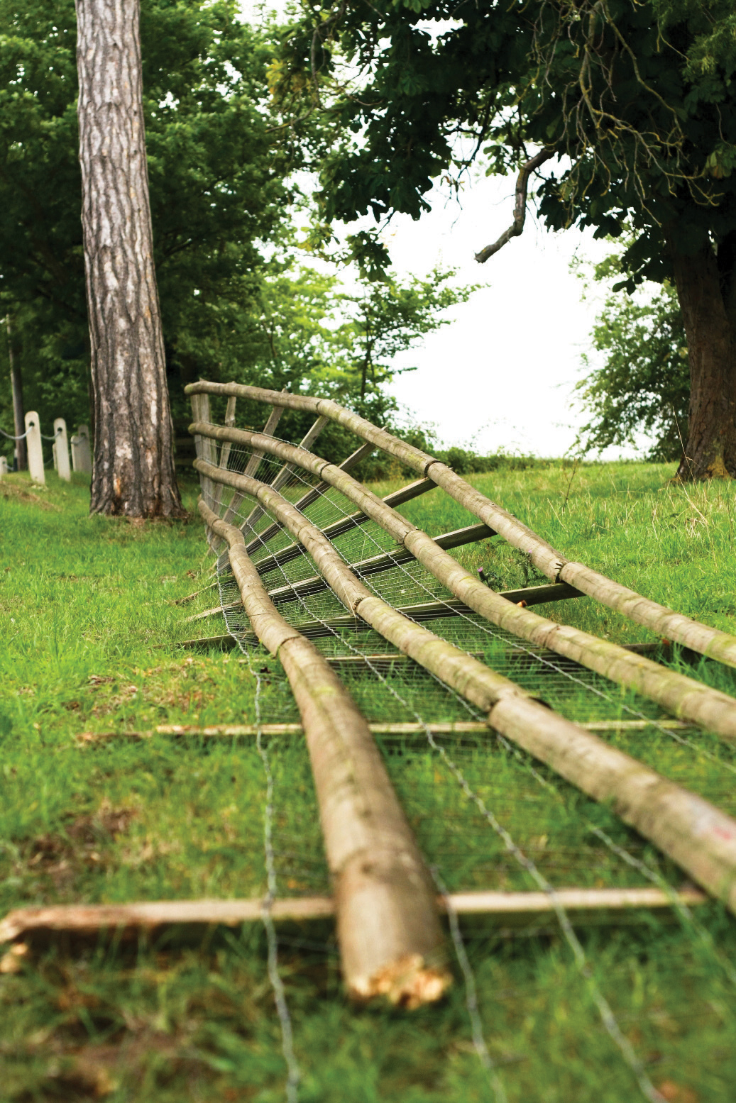 A Photo for Postsaver
Fence posts Fields and Fences