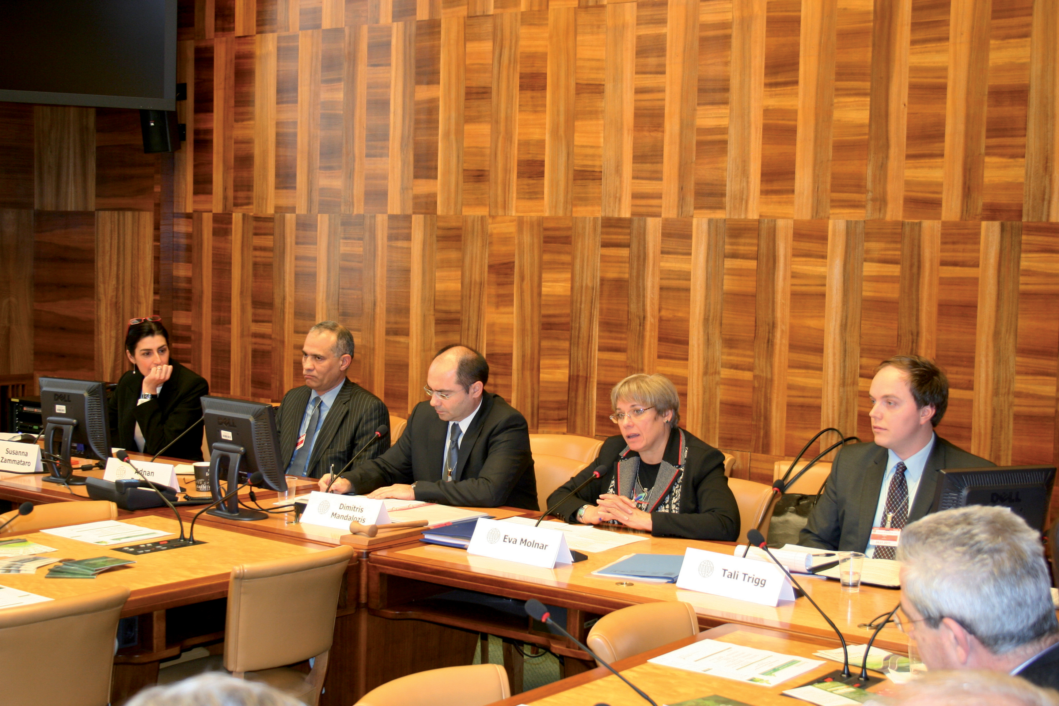 The panel at the launch debate organized at the United Nations in Geneva around the theme, Greening the Road Sector: How? United Nations debate panel