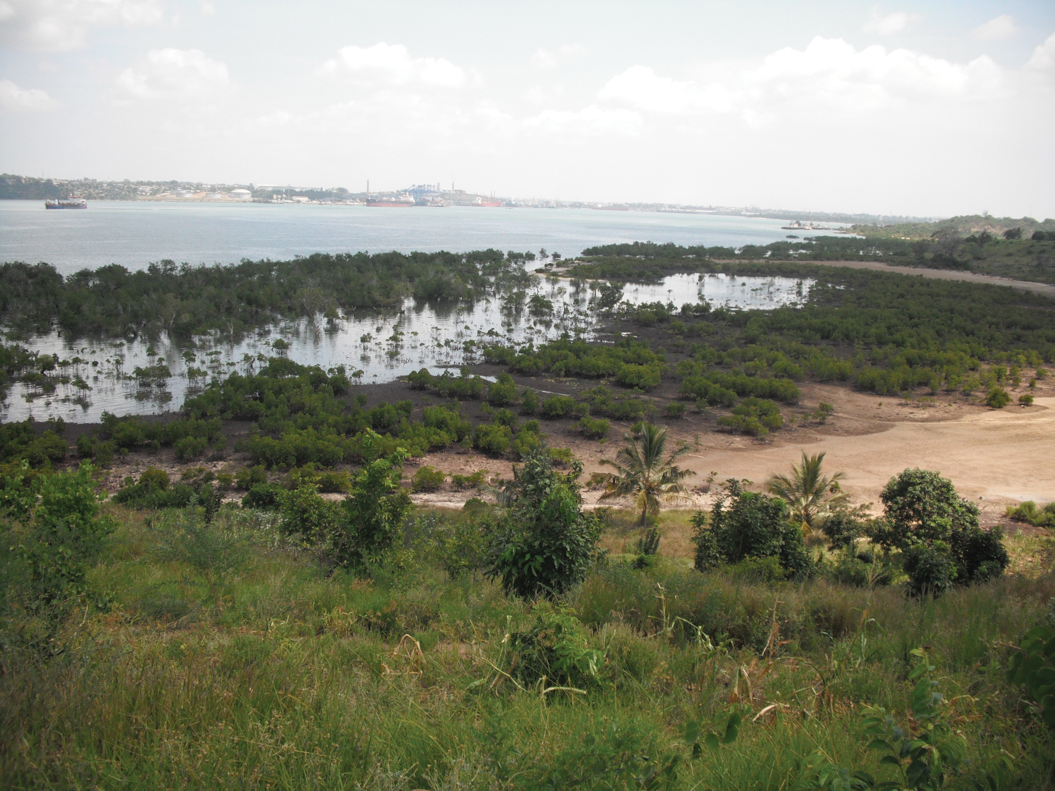 Realignment of a planned 17.5km bypass in Kenya will help overcome the sloppy stretches and sections under mangrove Realignment of a planned 17.5km bypass in Kenya