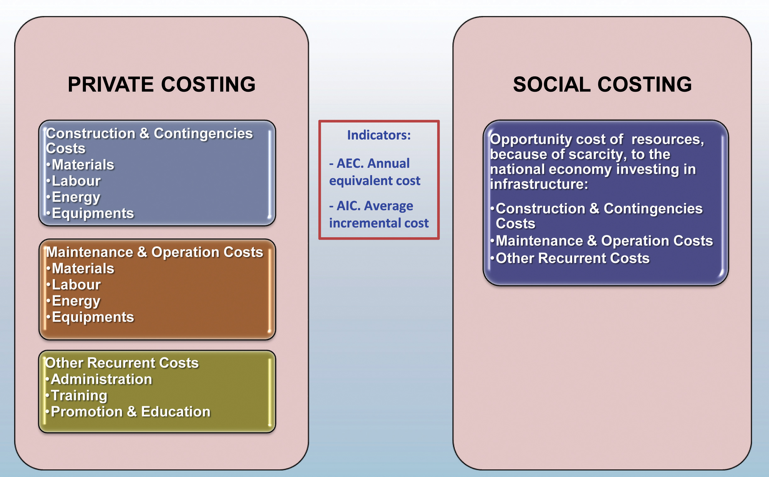 Private v. Social Costing Private v. Social Costing