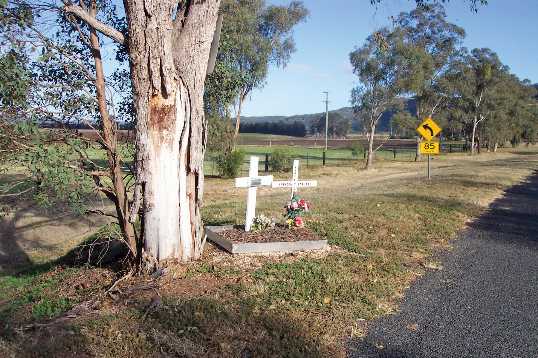 Poignant reminders about crash risks serve to warn drivers to take care, particularly from hazards such as roadside obstacles Graves of Car Crash Victims