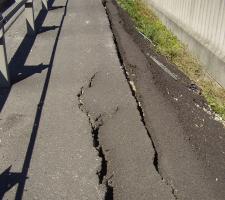 Cracks in asphalt roads 