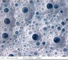 Echostar glass beads