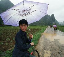Chinese Rural Road