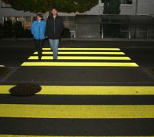 Zebra Crossing