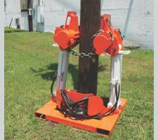 A 12 P65 1 avatar