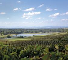 Hunter Valley Australia