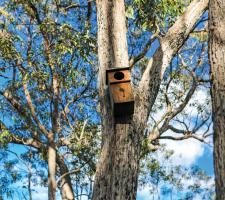 Environmental impact Hunter Expressway
