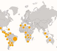 Ciber sales and distributor presence