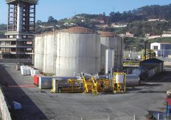 DITECPESA plant