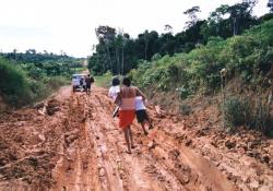 Brazilian Road