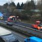 Volz-BPO-A 661 - PIC 1.jpg