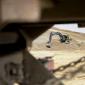 Volvo CE machines New Silk Road project