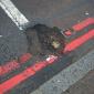 Even main roads on busy UK city streets suffer serious wear and tear 