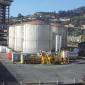 DITECPESA plant