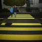 Zebra Crossing