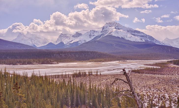 A Howse Pass road: beautiful but too costly (© Keeperofthezoo | Dreamstime.com)