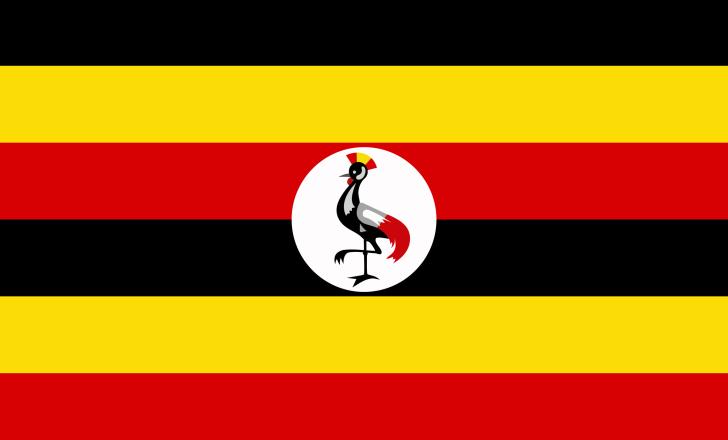 Portuguese contractor Mota Engil is bidding for road projects in Uganda and Cameroon image © courtesy of Evgenii Khadeev, Dreamstime.com