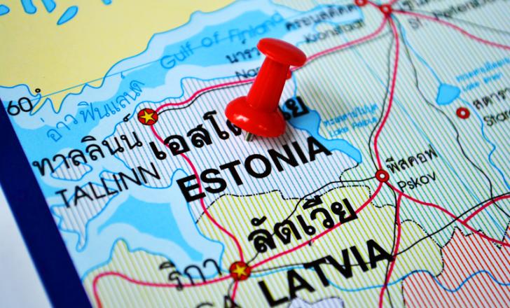 Estonia’s roads suffer an increasing rate of crashes involving wild animals in the roadway - image © courtesy of Woravit Vijitpanya, Dreamstime.com