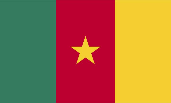 The Fayat Group and EGIS have set up a partnership to build and manage tolling facilities in Cameroon – image courtesy of © Paulklee1879, Dreamstime.com