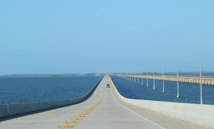 Cowi will be a key bridge player in Florida (© Frolandr/Dreamstime)