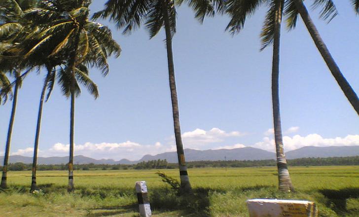 Pic: Indus Net Tech Tamil Nadu