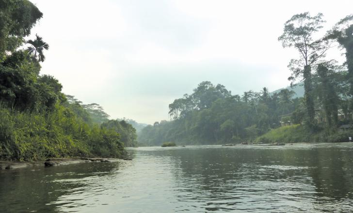 Kelani River Sri Lanka. Pic: Dunnock D Kelani River Sri Lanka. Pic: Dunnock D